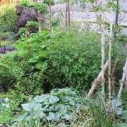 Grasland-Gärtnerei - Grasland Gärtnerei, Bergheim