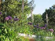 Grasland-Gärtnerei - Grasland Gärtnerei, Bergheim