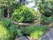 Grasland-Gärtnerei - Grasland Gärtnerei, Bergheim