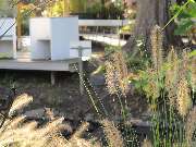 Grasland-Gärtnerei - Grasland Gärtnerei, Bergheim