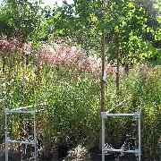 Grasland-Gärtnerei - Grasland Gärtnerei, Bergheim