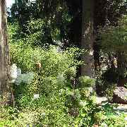 Grasland-Gärtnerei - Grasland Gärtnerei, Bergheim