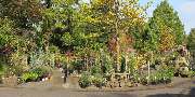 Grasland-Gärtnerei - Grasland Gärtnerei, Bergheim, Garten