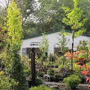 Grasland-Gärtnerei - Grasland Gärtnerei, Bergheim, Hausbäume