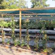 Grasland-Gärtnerei - Grasland Gärtnerei, Bergheim, Obstgehölze