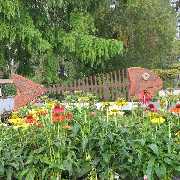 Grasland-Gärtnerei - Grasland Gärtnerei, Bergheim, Stauden