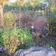 Grasland-Gärtnerei - Grasland Gärtnerei, Bergheim, Stauden