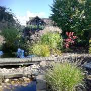 Grasland-Gartengestaltung - Teichbau, Grasland Gartengestaltung