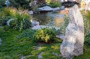 Green-Art - 012.jpg