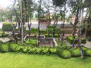 Green-Art - 11-восстановлено.jpg