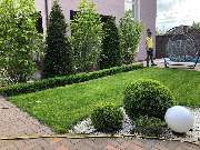 Green-Art - 7.jpg