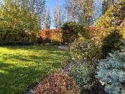 Green-Art - image.jpg