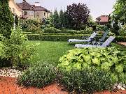 Green-Art - IMG_3532.jpg