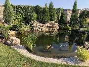 Green-Art - IMG_3909.jpg