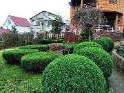 Green-Art - IMG_6867.JPG