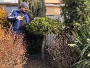 Green-Art - IMG_7432.jpg