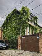 Green-Art - IMG_9478 меньше.jpg