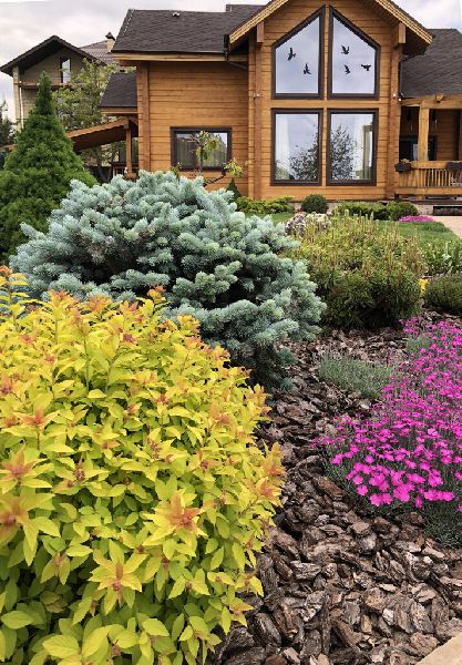 Green-Art - IMG_9749.jpg