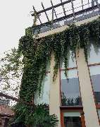 Green-Art - P71103-084125.jpg