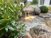 Green-Art - photo_2025-10-09_12-55-26.jpg