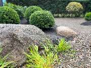 Green-Art - photo_2025-10-09_12-55-29.jpg