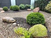 Green-Art - photo_2025-10-09_12-55-31.jpg