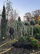 Green-Art - photo_2025-11-10_12-25-08.jpg