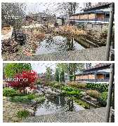 Green-Art - vorher-nachher.jpg