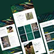green.motion webdesign - GALLERY