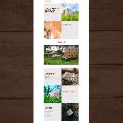 green.motion webdesign - GALLERY