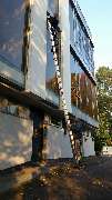 Green Star GmbH - GALLERY
