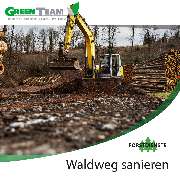 Green Team - Facebook_Instagram_Forstdienst_waldweg Kopie.jpg