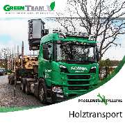 Green Team - Facebook_Instagram_Problembaumfällung31.jpg
