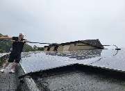 Green with Passion Group - GALLERY