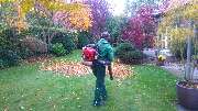 GreenFairway e.K. - Gartenpflege