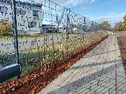 GreenFairway e.K. - Heckenpflanzungen im Herbst