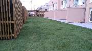 GreenFairway e.K. - Rollrasen Herbst