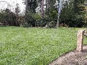 GreenFairway e.K. - Rollrasen verlegen
