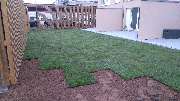 GreenFairway e.K. - Rollrasen verlegen Herbst