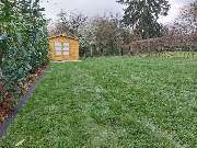 GreenFairway e.K. - Rollrasen verlegen im Frühling inkl. Heckenpflanzung