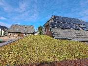 Greenhats Heimatliebe GmbH & Co. KG - GALLERY