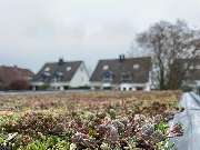 Greenhats Heimatliebe GmbH & Co. KG - GALLERY