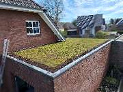 Greenhats Heimatliebe GmbH & Co. KG - GALLERY