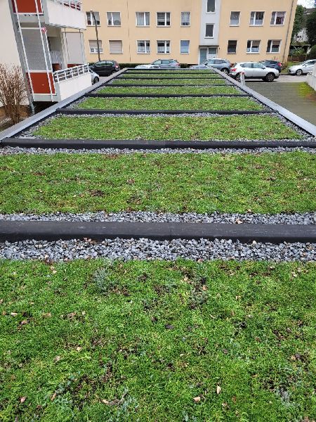 Greenhats Heimatliebe GmbH & Co. KG - GALLERY