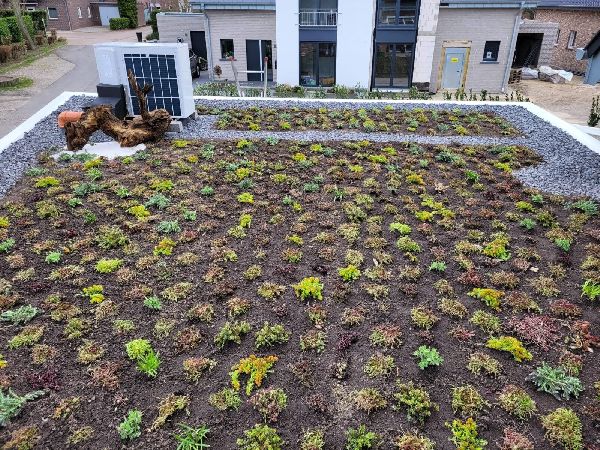 Greenhats Heimatliebe GmbH & Co. KG - GALLERY