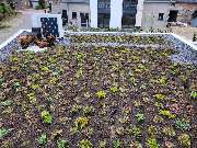 Greenhats Heimatliebe GmbH & Co. KG - GALLERY