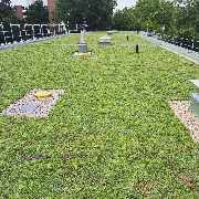 Greenhats Heimatliebe GmbH & Co. KG - GALLERY