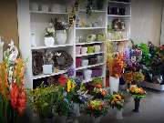 Greizer Vogtlandblumen GmbH - GALLERY