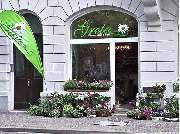 Greta - Blumen, Ideen & mehr... - GALLERY