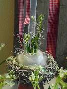 Greta - Blumen, Ideen & mehr... - GALLERY